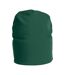 Projob Unisex Adult Lined Beanie (Forest Green) - UTUB313