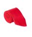 Childrens/kids Checked Show Tie One Size Red Supreme Products-2