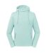 Russell - Sweat à capuche - Adulte (Turquoise) - UTBC5623