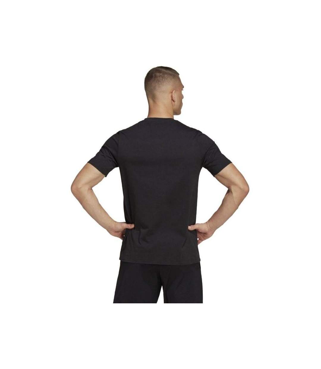T-shirt Entrada Homme Noir Adidas-3