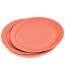 Lot de 20 Assiettes en Carton Vitamine 23cm Terracotta-1