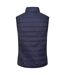 Regatta Womens/Ladies Hillpack Insulated Body Warmer (Navy) - UTRG6523