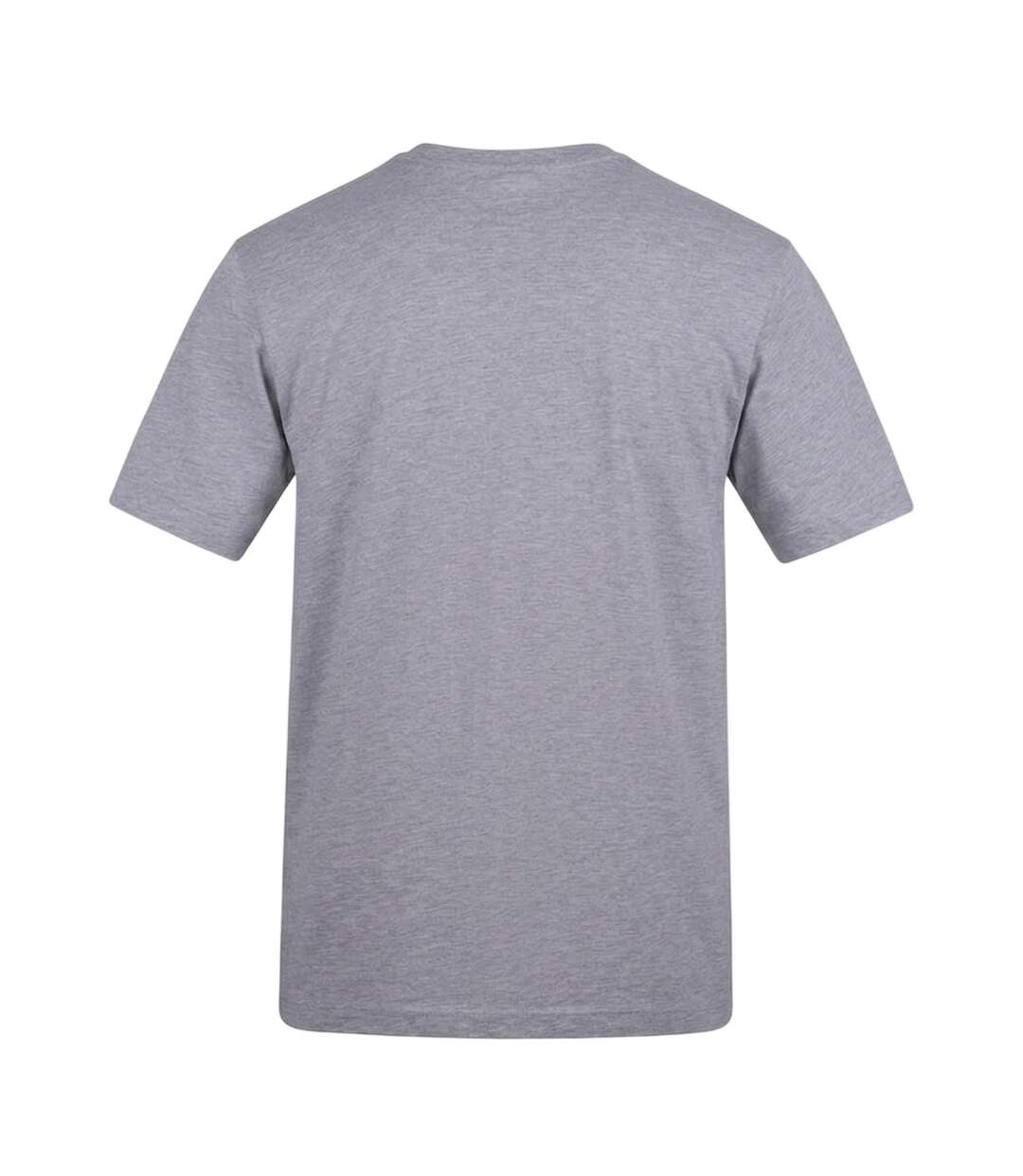 Unisex Adult Logo T-shirt Grey Game Of Thrones-2