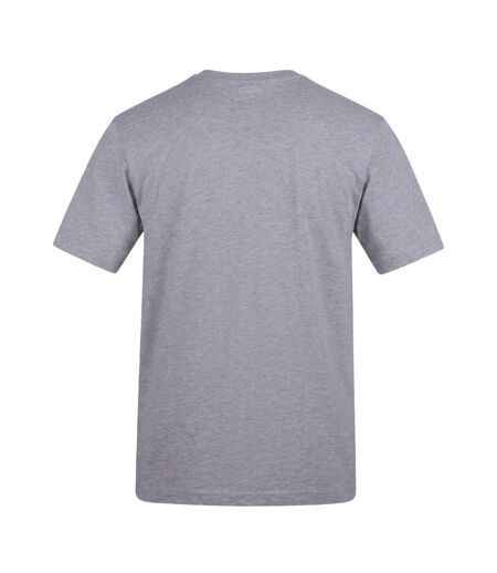 Unisex Adult Logo T-shirt Grey Game Of Thrones