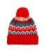 Unisex Adult Retro Skiing Beanie Alpine Racer Beechfield-2