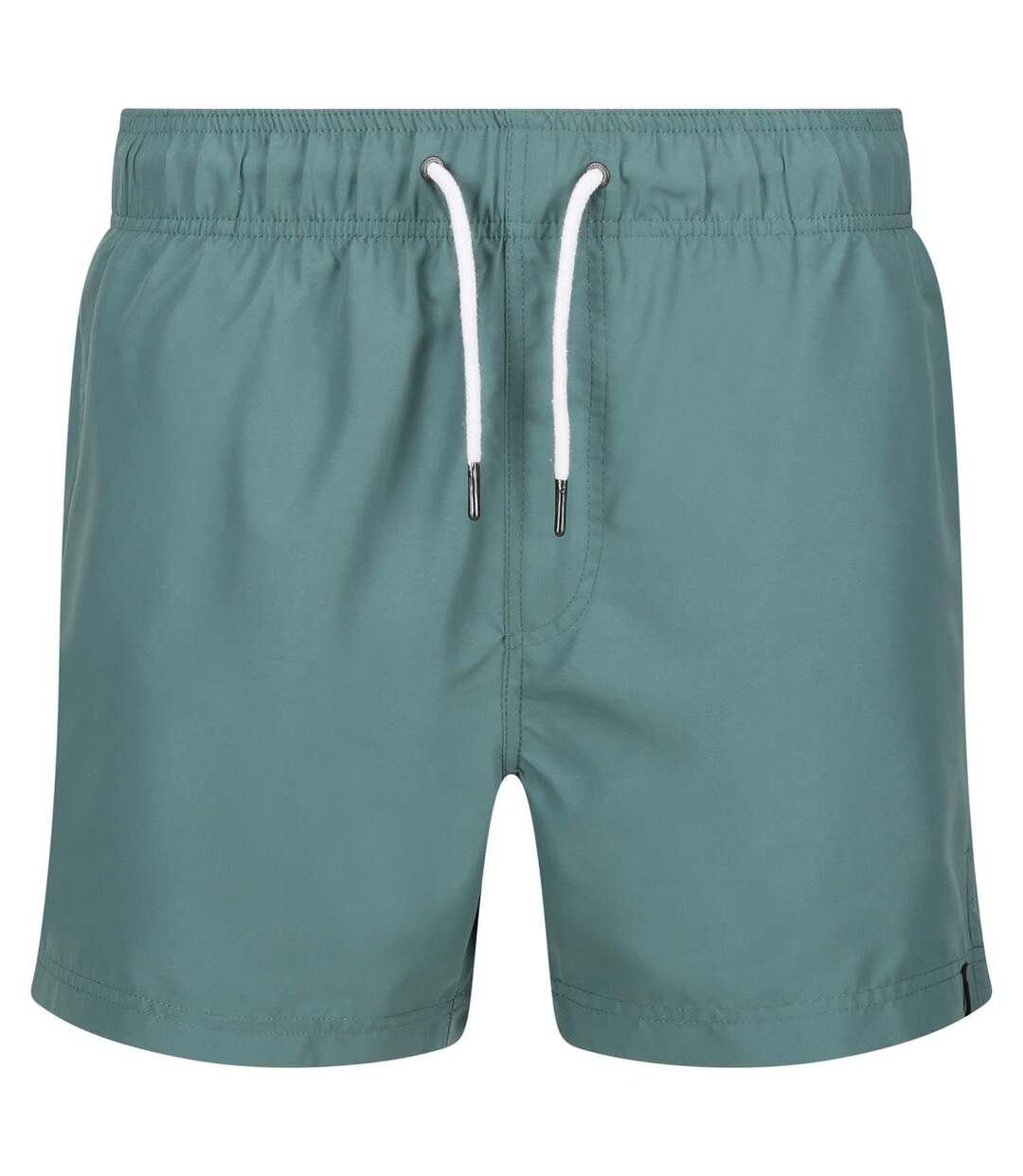 Short De Bain Mawson Homme Bleu Sarcelle Regatta-1