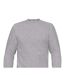 Sweat Adulte Gris Chiné B&C-2