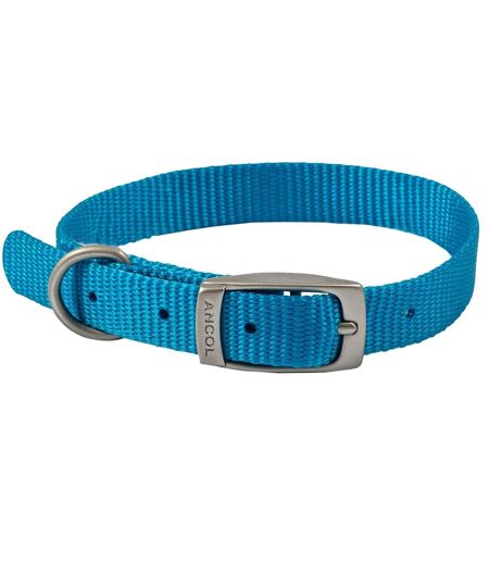 Viva dog collar 28cm 36cm blue Ancol