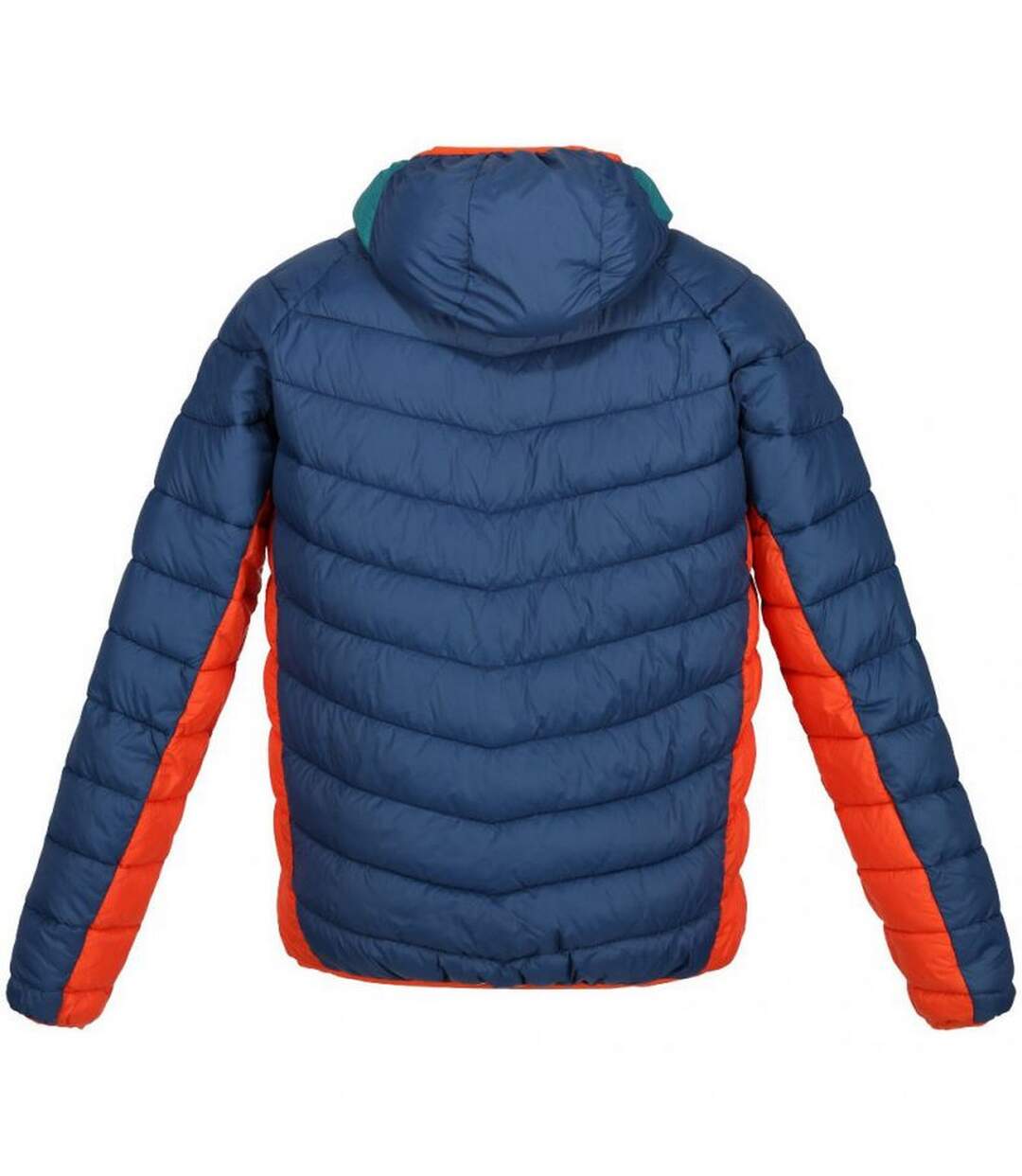 Mens Harrock Puffer Jacket Admiral Blue Pacific Green Regatta-2