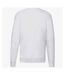 Fruit of the Loom Unisex Adult Lightweight Raglan Sweatshirt (White) - UTPC5832