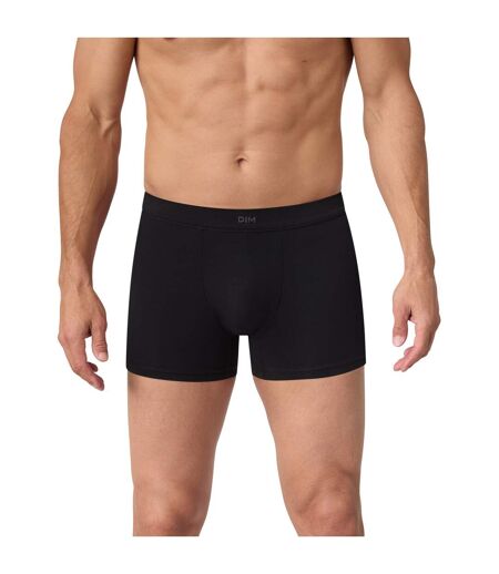 Boxer Gentleman