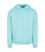 Sweat À Capuche Homme Béryl Bleu Urban Classics-1