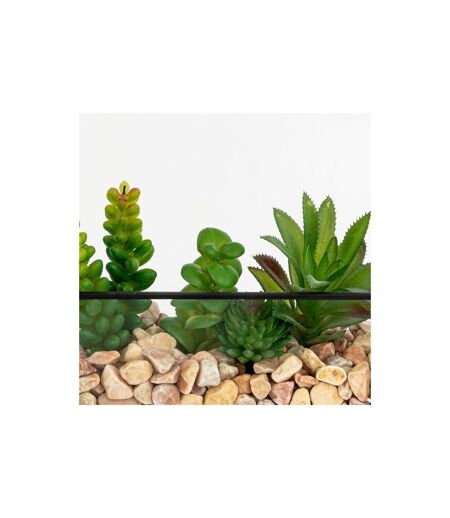 Terrarium Hexagonal en Verre Pia 20cm Noir