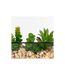 Terrarium Hexagonal en Verre Pia 20cm Noir-2