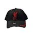 Liverpool FC Unisex Adult Mass Frost Snapback Cap (Black/Red)