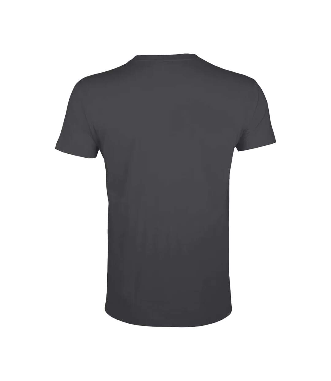 T-shirt Regent Adulte Gris Foncé Uni SOLS-2