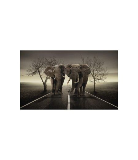 Papier Peint City of Elephants 270x450cm