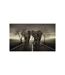 Papier Peint City of Elephants 270x450cm-2