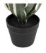 Plante Artificielle Agave Exotic Panama 55cm Vert-3