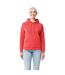 Sweat À Capuche Jasper Adulte Grenadine Iqoniq-3