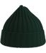 Atlantis Unisex Adult Shore Chunky Recycled Beanie (Bottle Green) - UTAB616