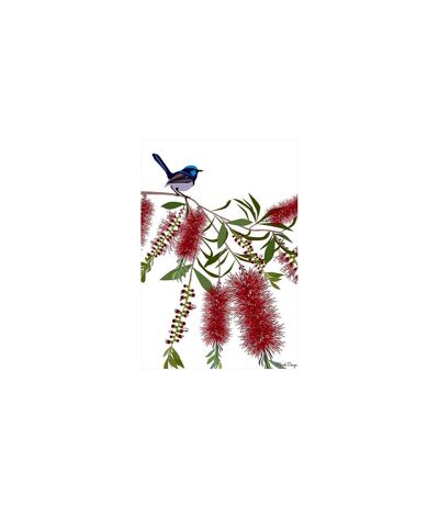 Mokoh - Imprimé WREN CALLISTEMON (Rouge / Vert / Blanc) (40 cm x 30 cm) - UTPM5160