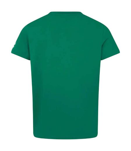 T-shirt Motif/style Irlande Homme Vert Canterbury