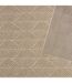Tapis Intérieur & Extérieur Curtis 200x300cm Beige-2