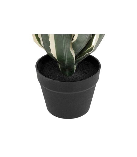 Plante Artificielle Agave Exotic Panama 55cm Vert