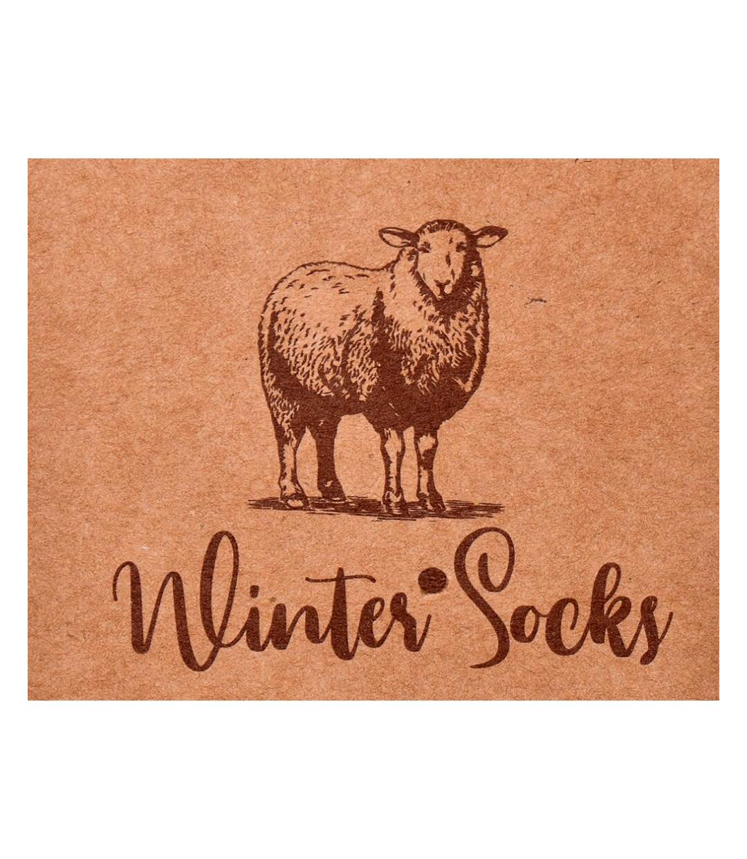 Chaussettes Homme WINTER SOCKS - Pack de 4-4