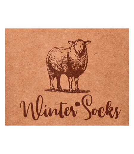 Chaussettes Homme WINTER SOCKS - Pack de 4
