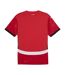 Egypte maillot réplica domicile homme puma 25/26-2