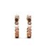 Boucles d'oreilles Curved - Or Rosé et Cristal