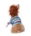 Pet costume set l multicoloured Chucky-3