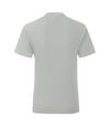 Fruit of the Loom Mens Iconic T-Shirt (Gray)