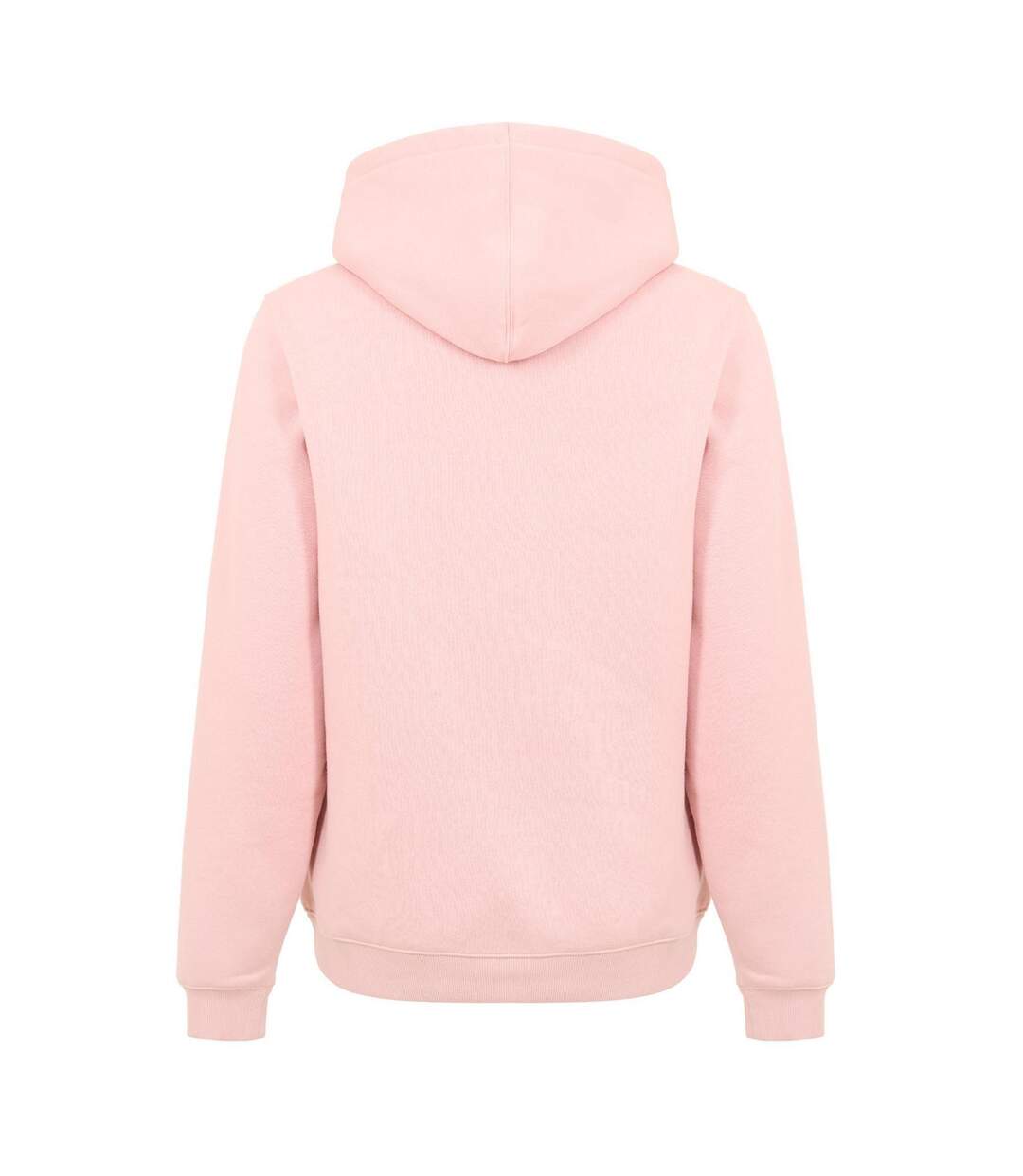 Sweat À Capuche Oakport Homme Rose Clair Dickies-2