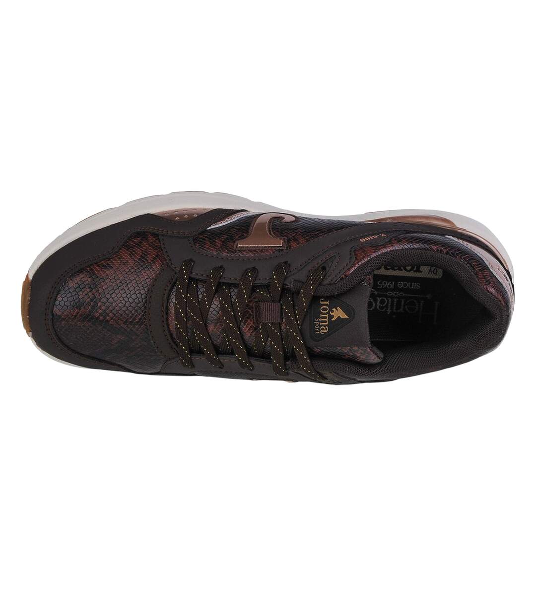Womens/ladies C.6100 Trainers Brown Joma-4