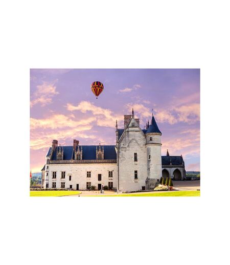 Vol en montgolfière en famille au cœur de la Touraine avec visite d'une cave et dégustation de vin - SMARTBOX - Coffret Cadeau Sport & Aventure