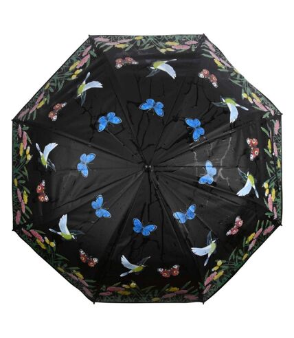 Parapluie oiseau couleurs changeantes