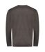 Awdis Mens Organic Sweatshirt (Charcoal)
