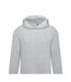 Sweat À Capuche Homme Oxford Clair SG Originals-2