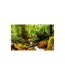Paris Prix - Papier Peint forêt Tropicale Ii 270x450cm