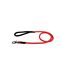 Paris Prix - Laisse Pour Chien corde Expert 150cm Rouge
