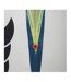 Ballon De Rugby Mentre Taille 5 Blanc Citron Vert Canterbury-3