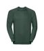Sweat Manches Raglan Homme Vert Foncé Russell-2