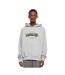Gris Mister Tee-1