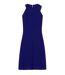 Paper Dolls Womens/Ladies Kempsey Frill Front Shift Dress (Cobalt Blue) - UTLZ196