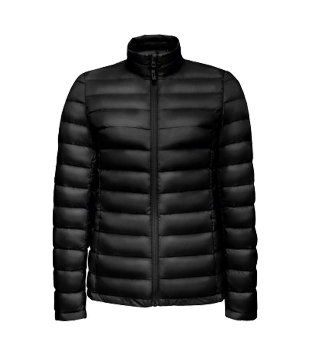 SOLS Womens/Ladies Wilson Lightweight Padded Jacket (Black) - UTPC3382