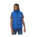 Doudoune Sans Manches Motif/style Matelassé Nahjo Homme Bleu Kings Will Dream-2