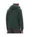Sweat à capuche vert homme calvin klein jeans  350 terry-2
